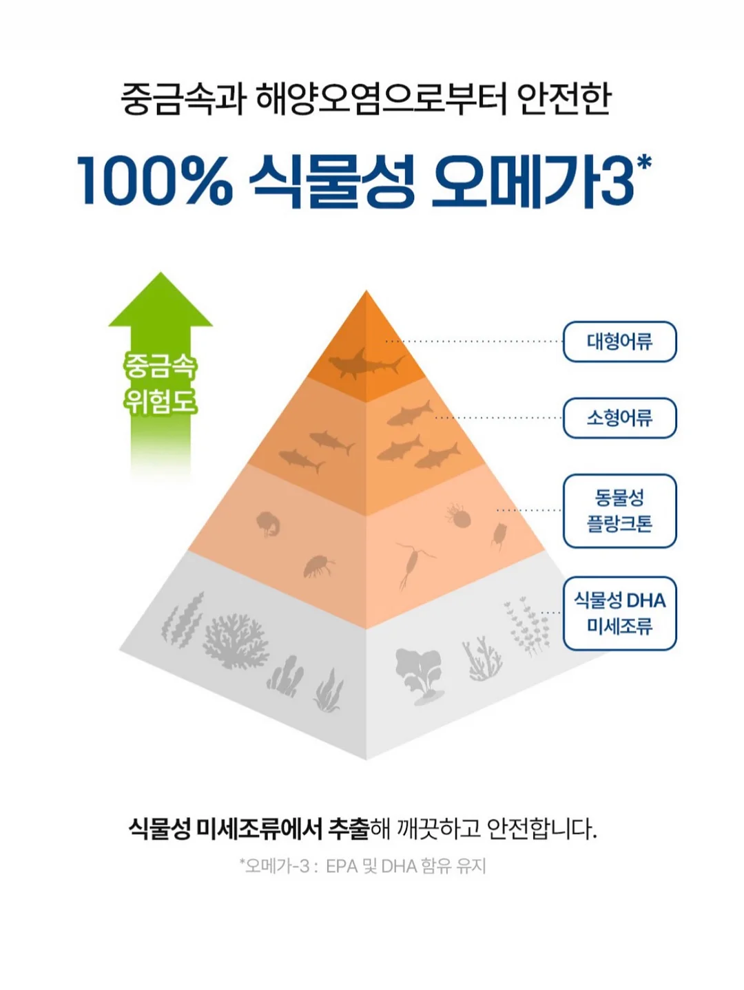 보보쇼즈 반팔 티셔츠 7