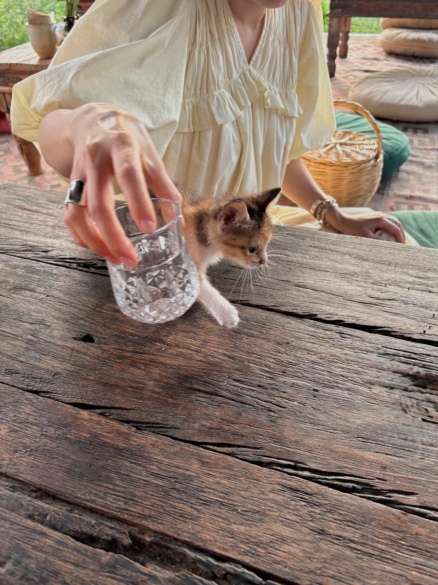 오버롤 16