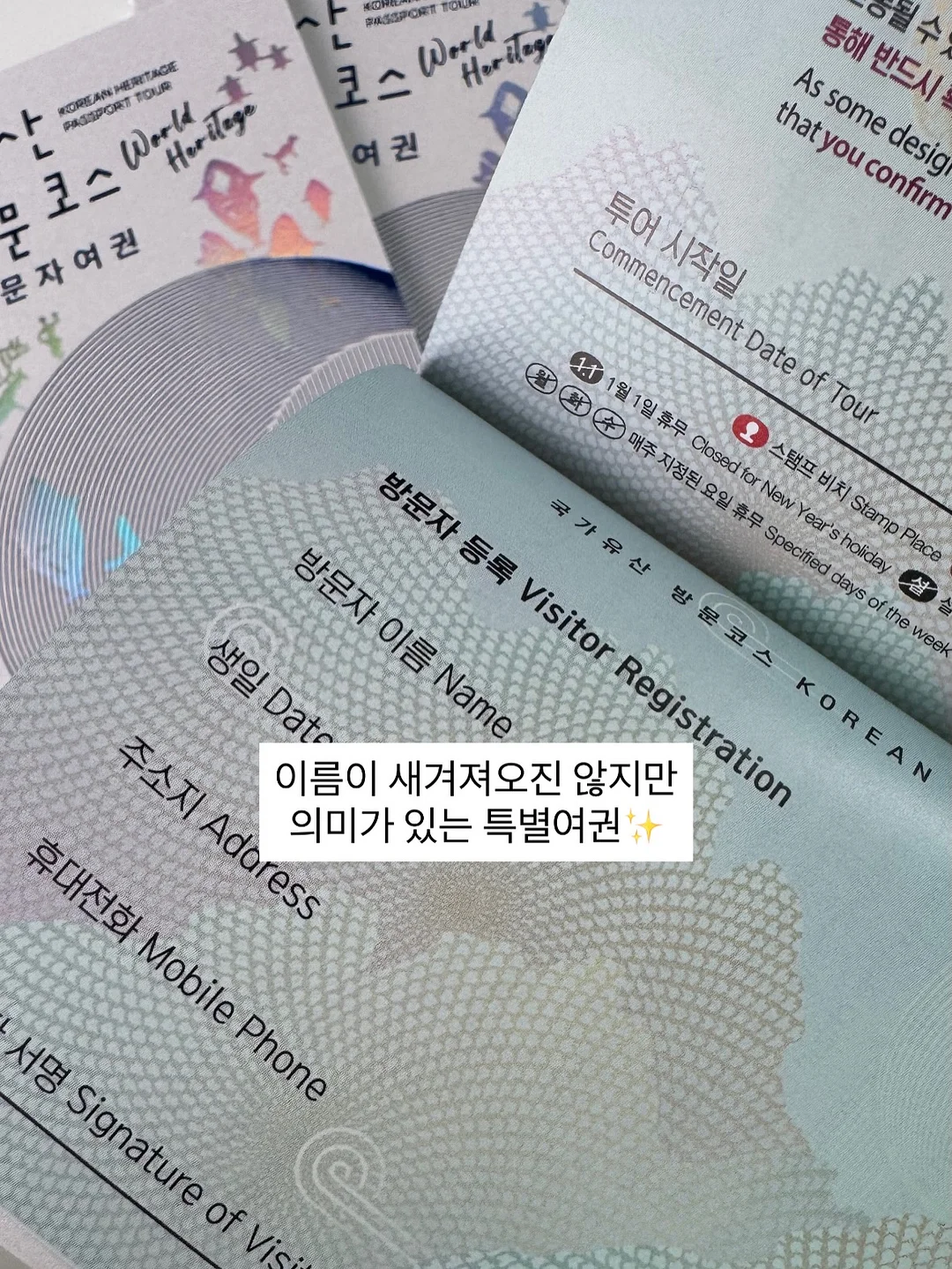 클래식 카시트 4