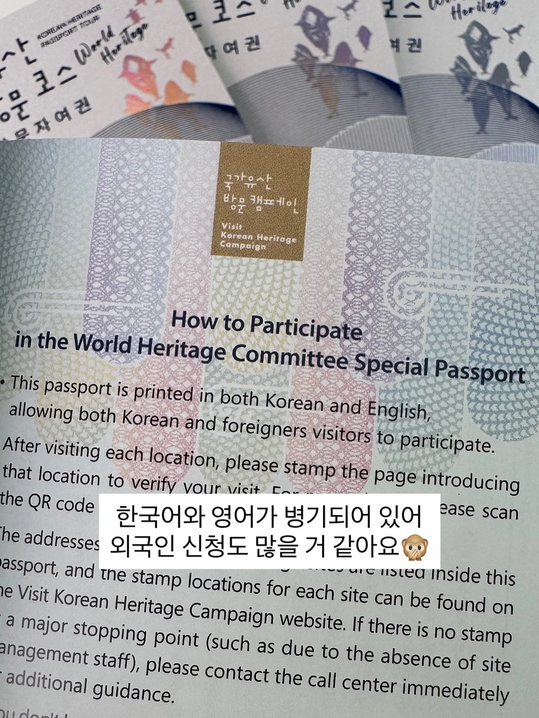클래식 카시트 5