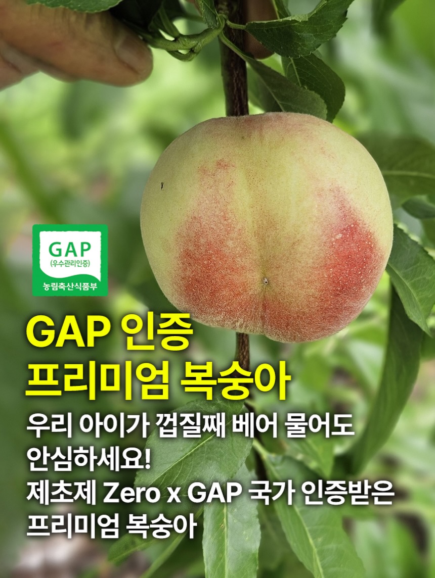 무중력리프팅 팩 6