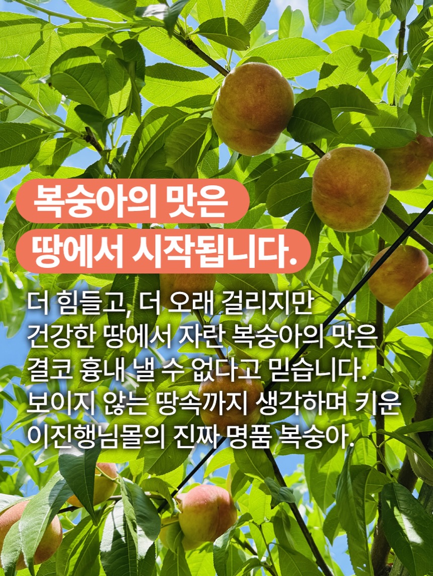 무중력리프팅 팩 7