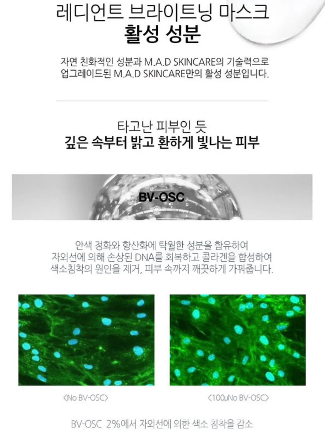 경제 필독서 6
