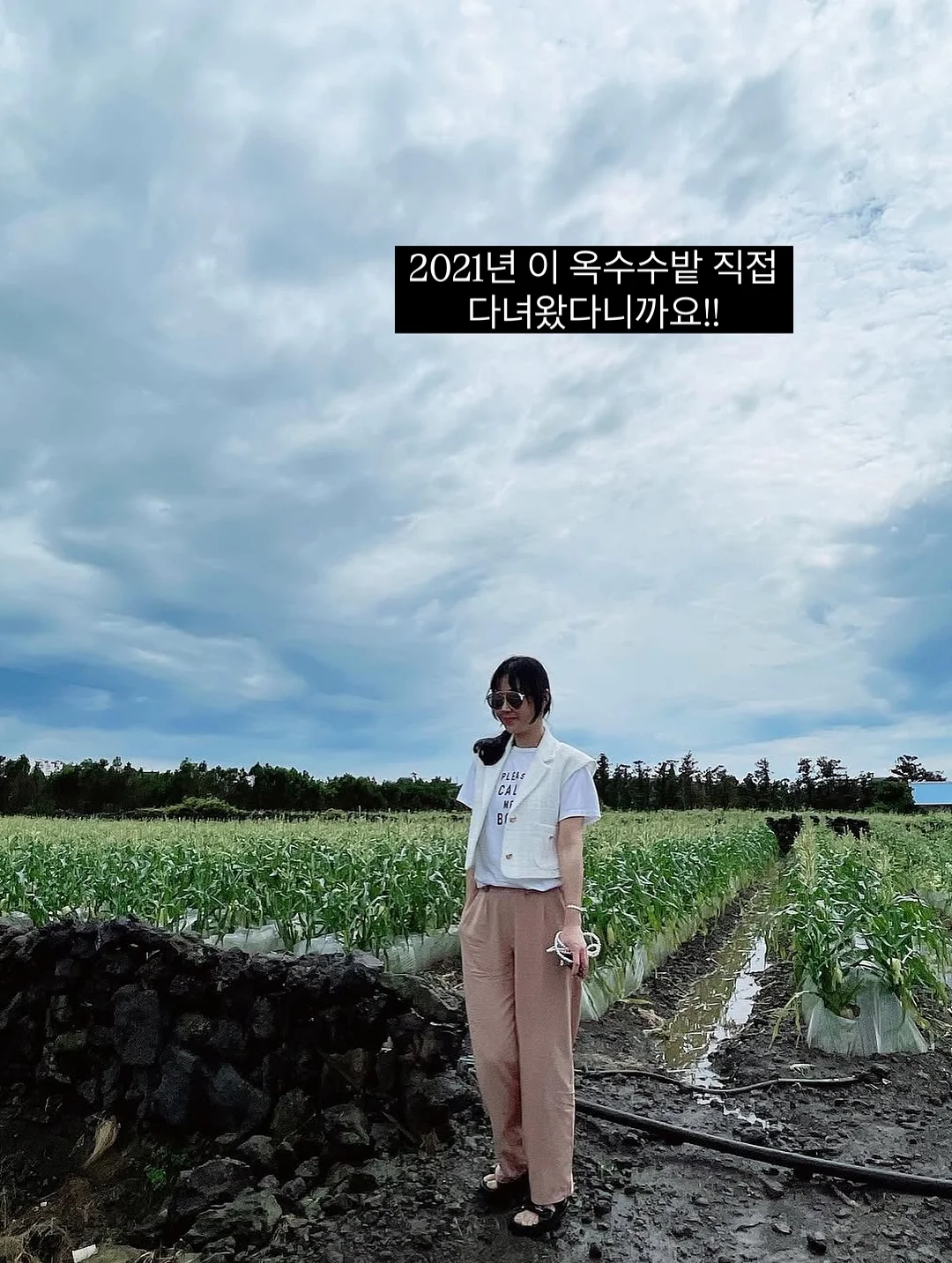 고데기 8