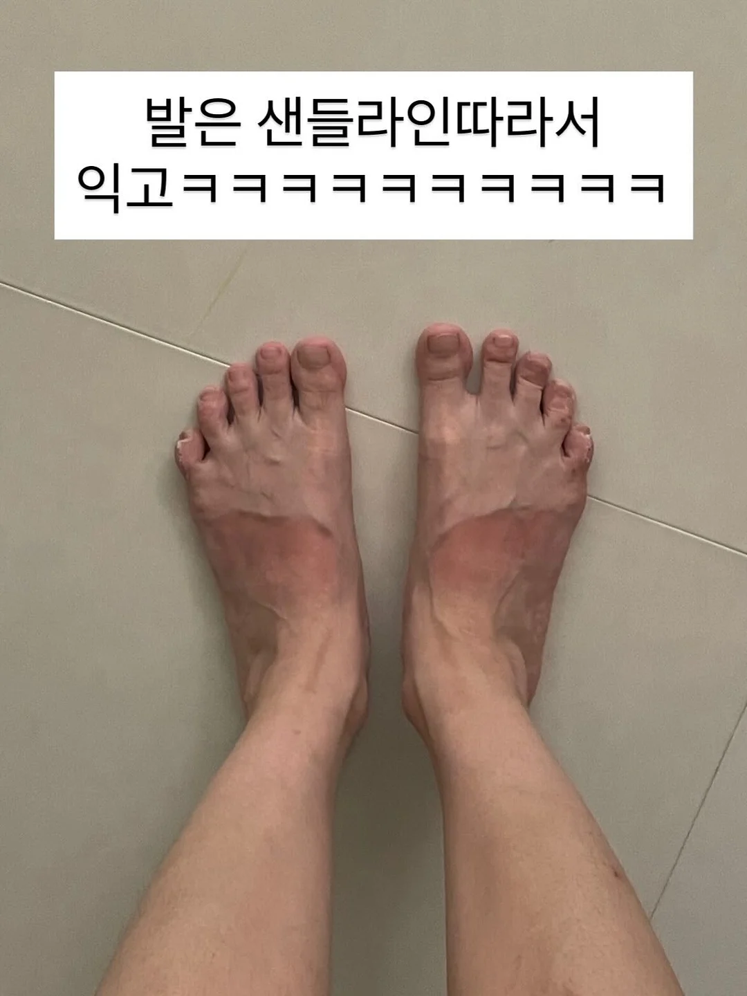 방생 물고기 3