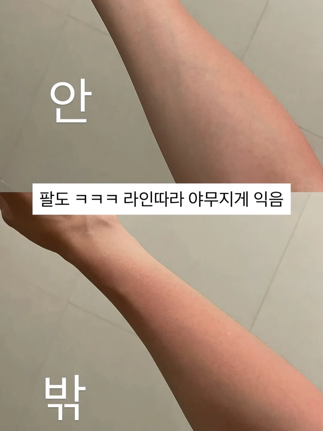 방생 물고기 4