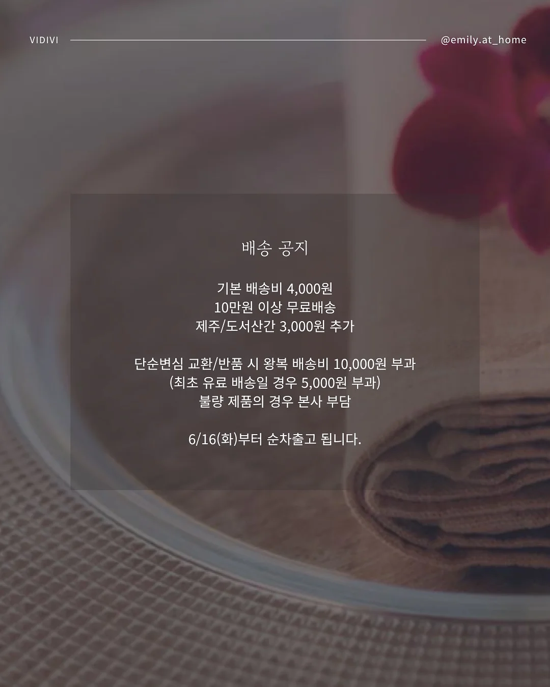 호접난 화분 6
