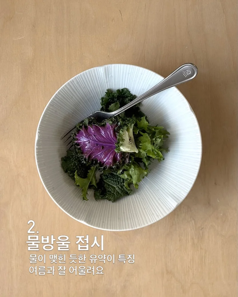 단백질 4