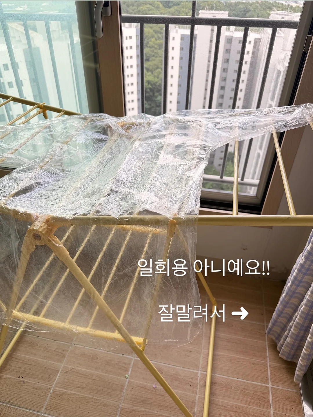 사진 보정 11