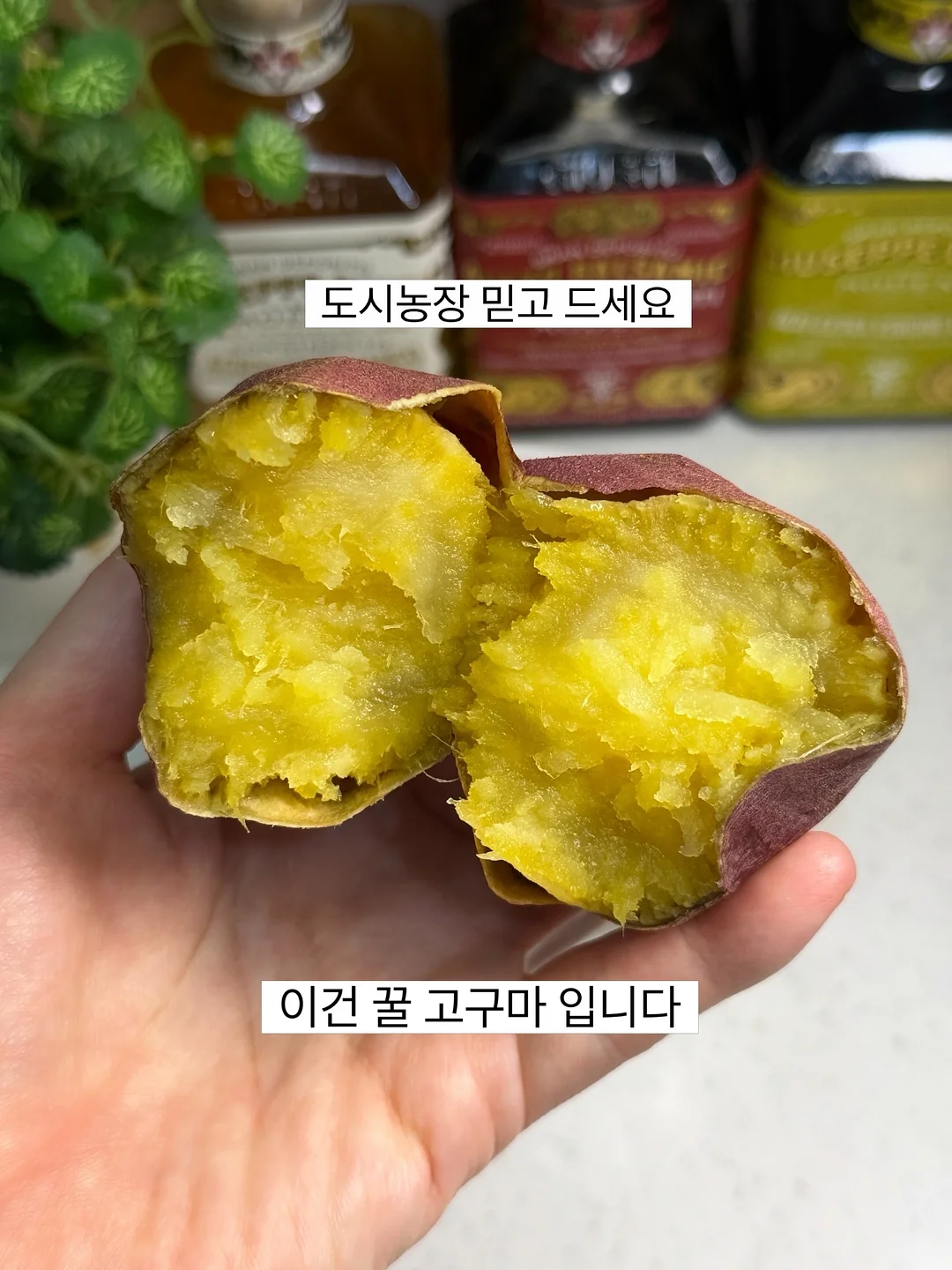 2025 크리스마스 선물상자 7