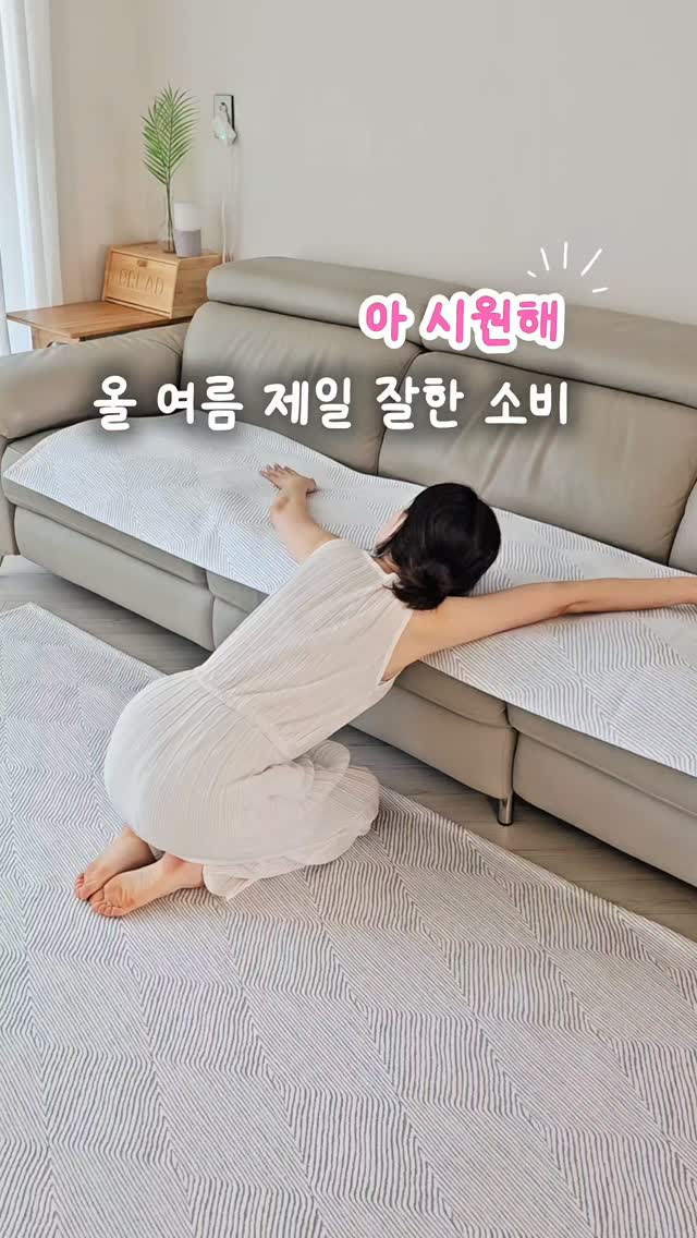 한지 쉐이드