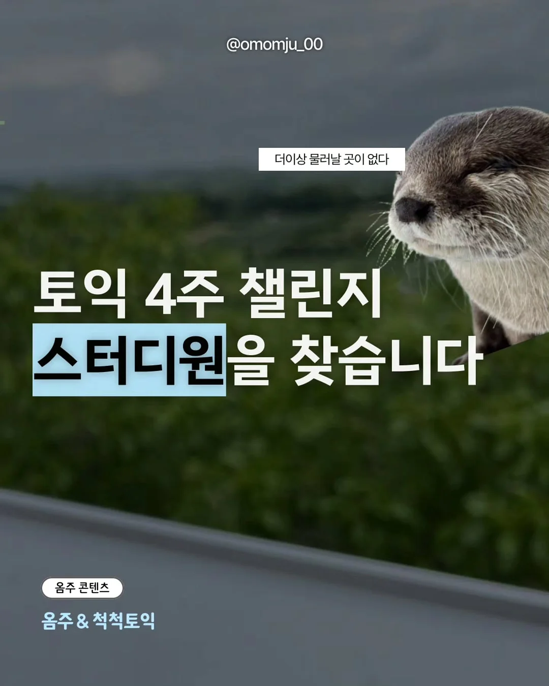 가벼운 착용감 세트 1
