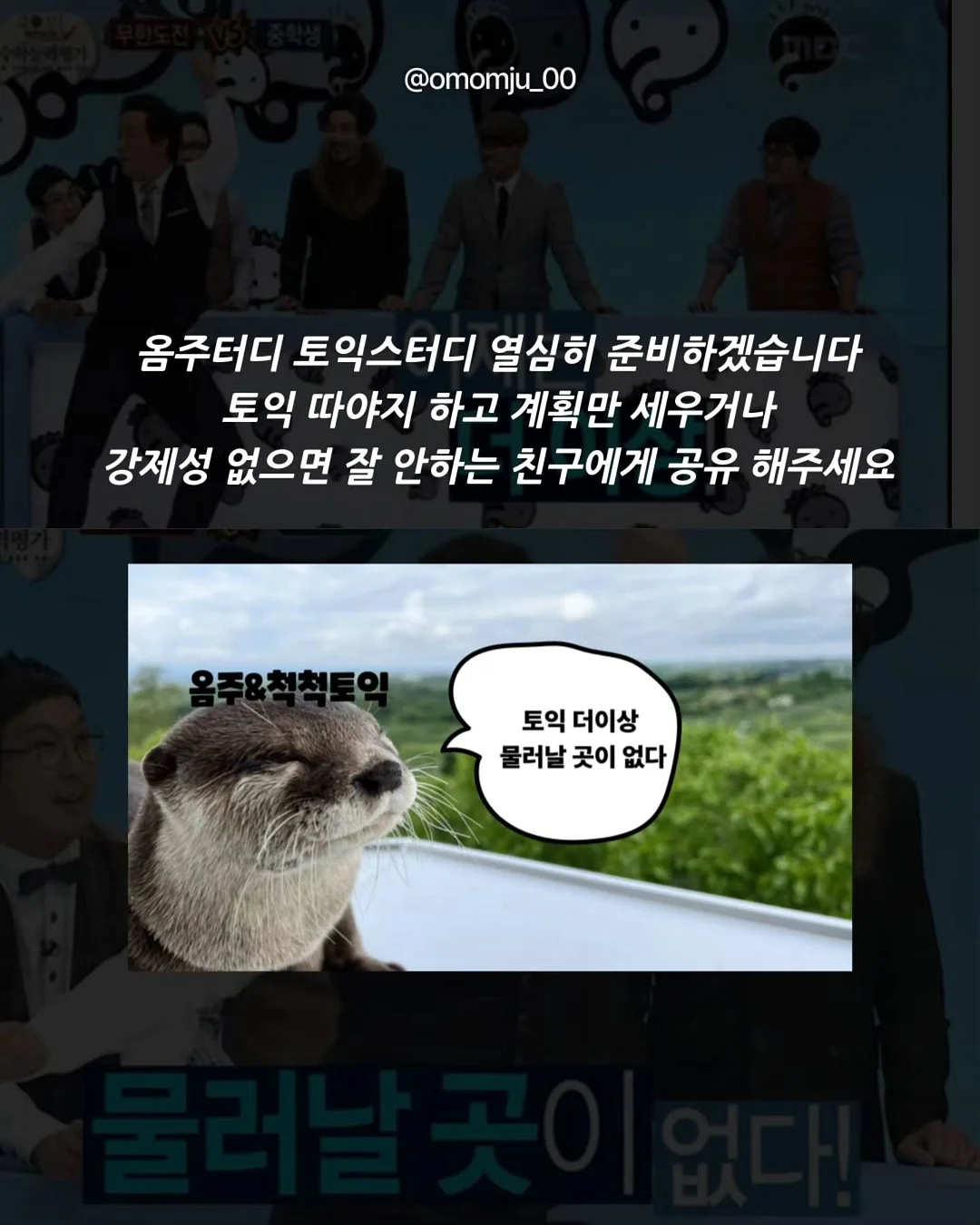 가벼운 착용감 세트 7