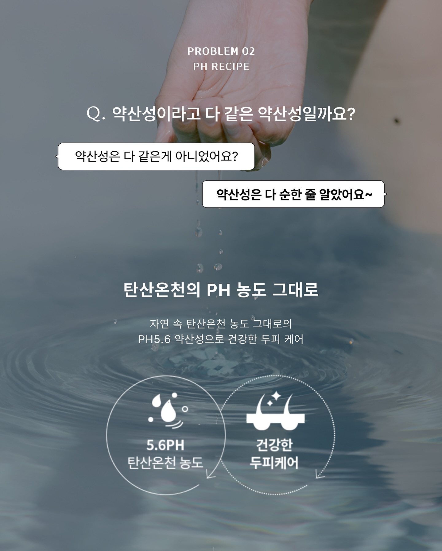 탬버린하우스 페티보드 11