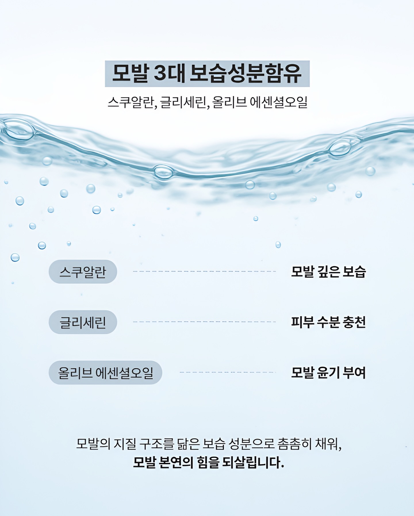 탬버린하우스 페티보드 12