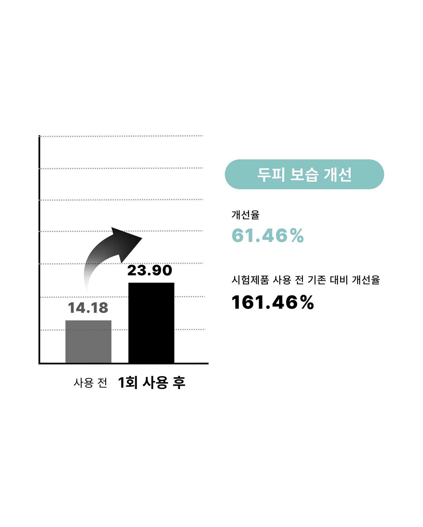 탬버린하우스 페티보드 17