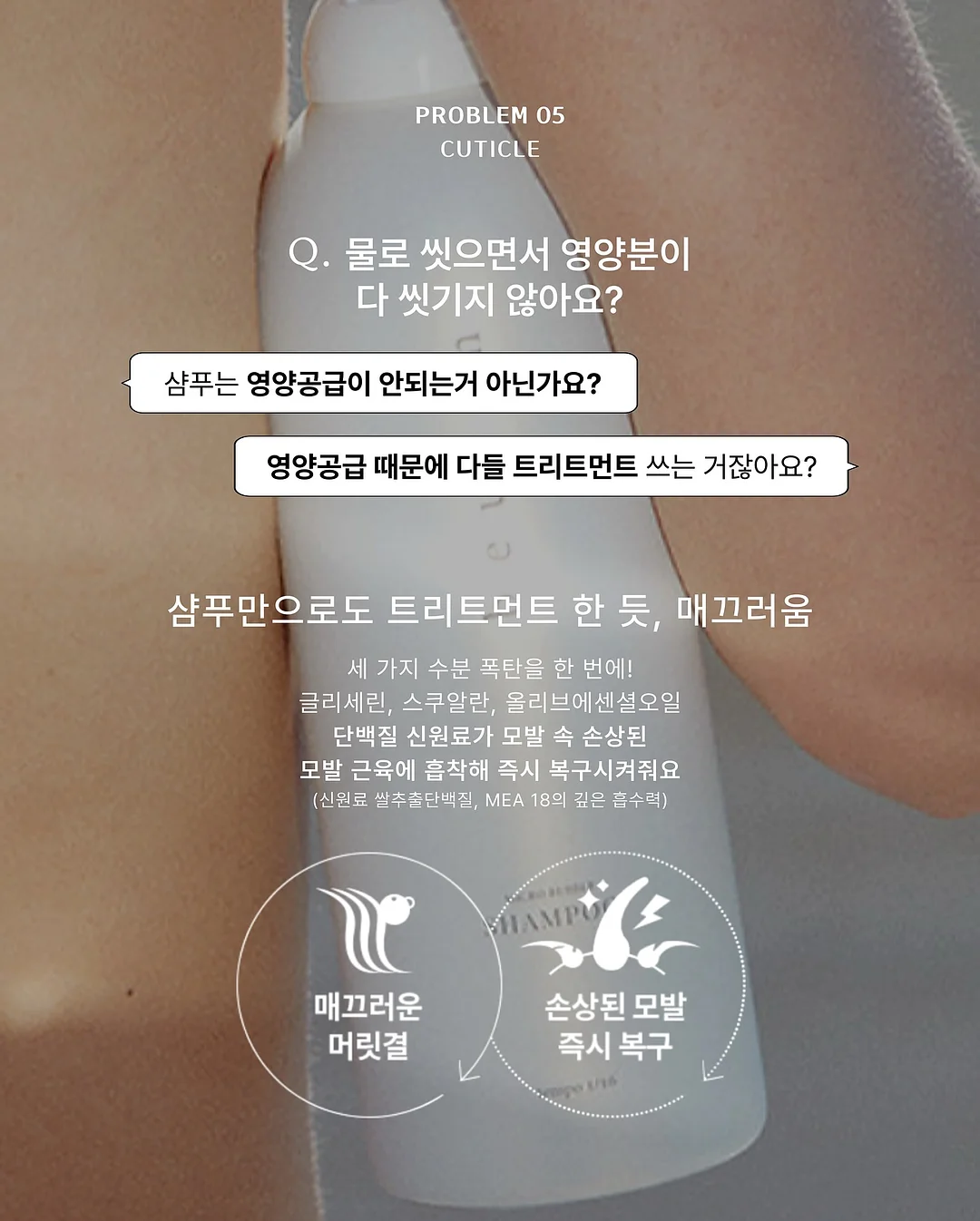 반다와 아티초크 우드박스 18