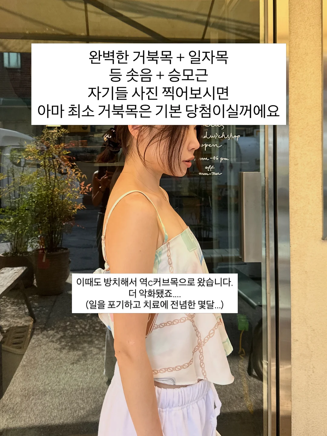 초당옥수수 16