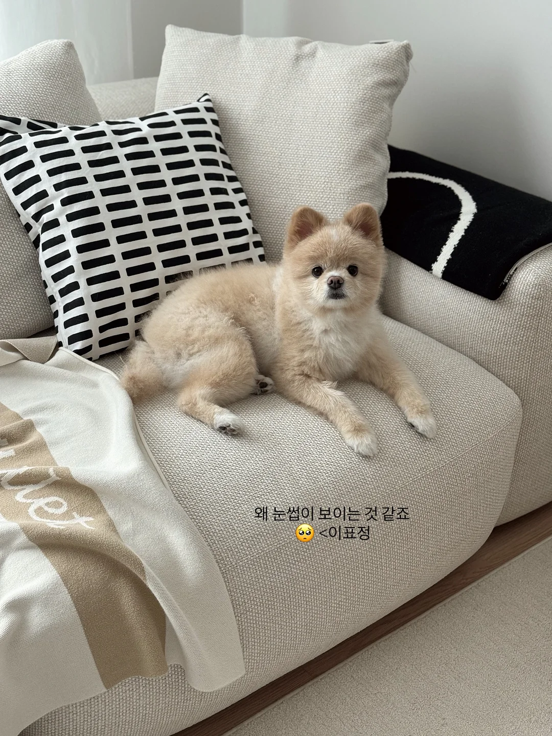 데크 우드 타일 5