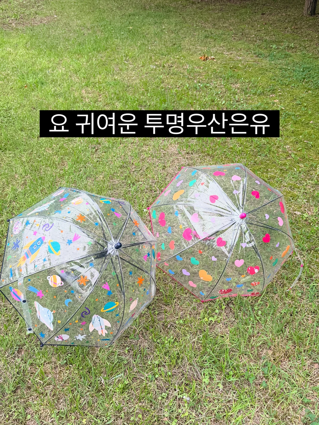 봄나들이 도시락 교구 3