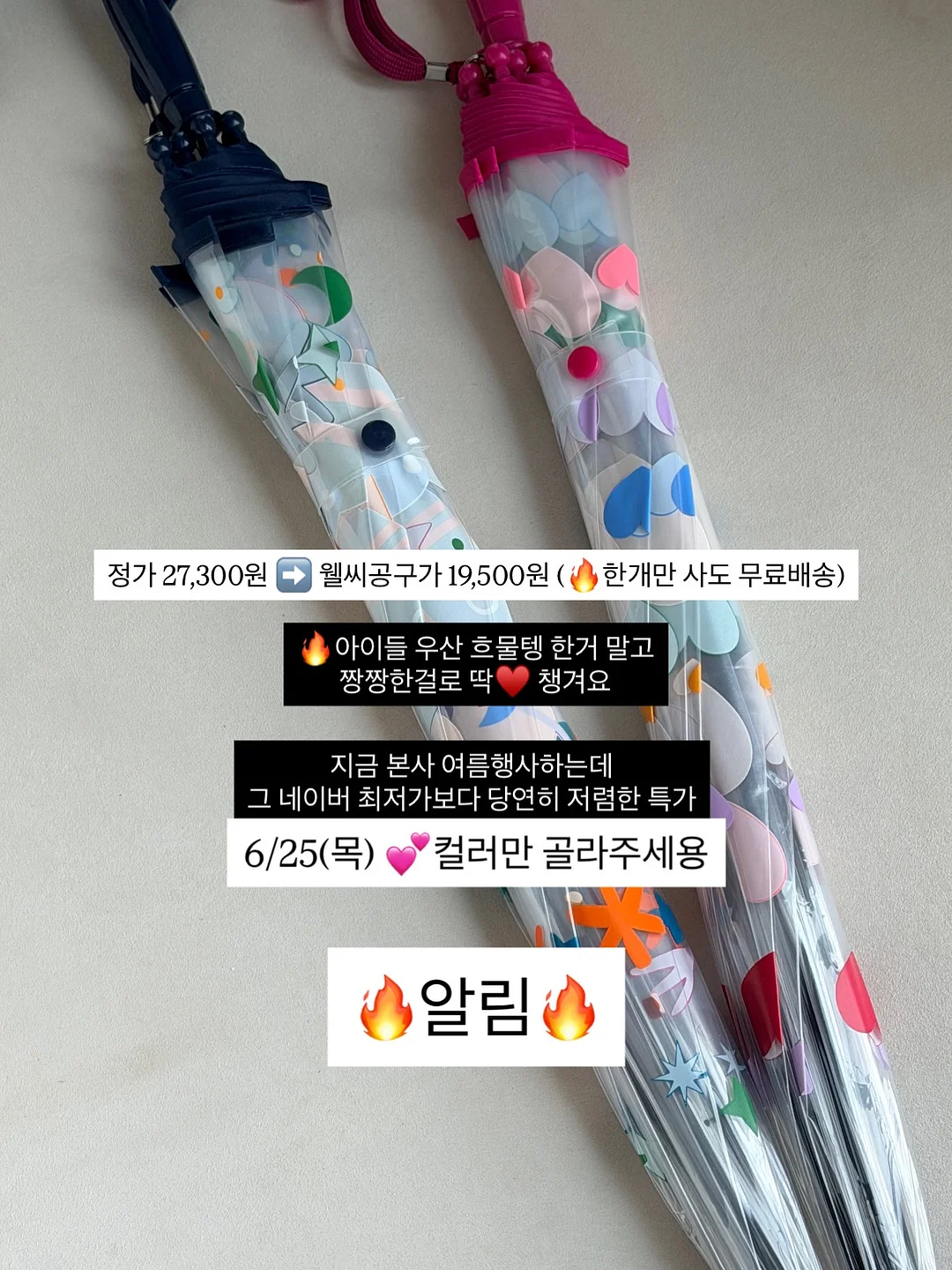 봄나들이 도시락 교구 8