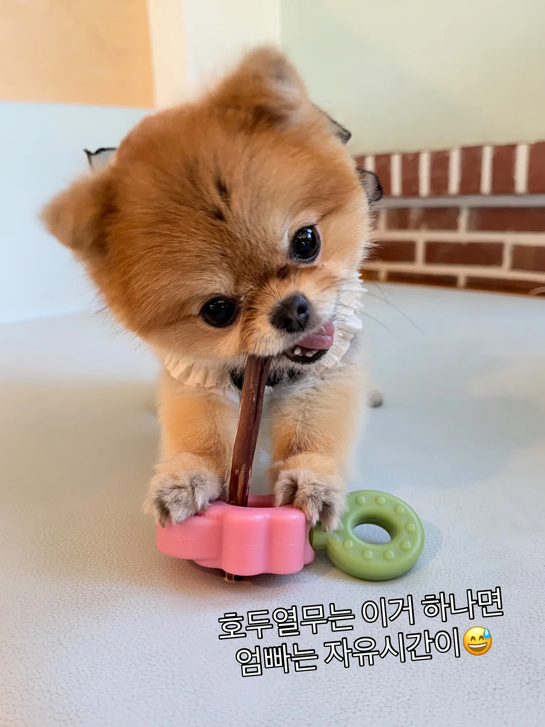 킹대극천 화이트 4