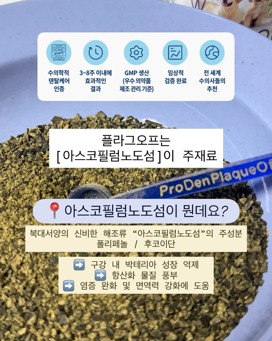 젬젬 2