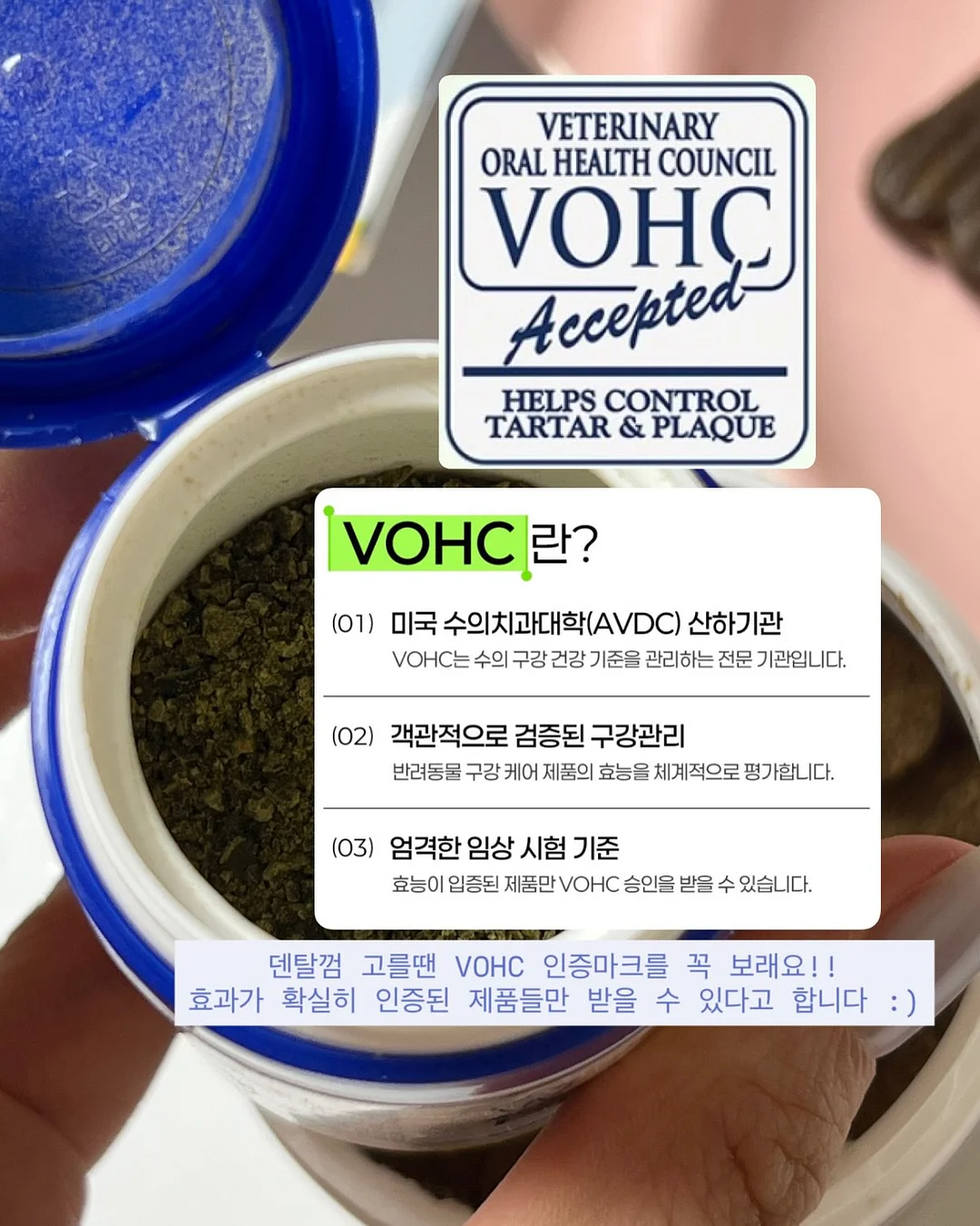 젬젬 3