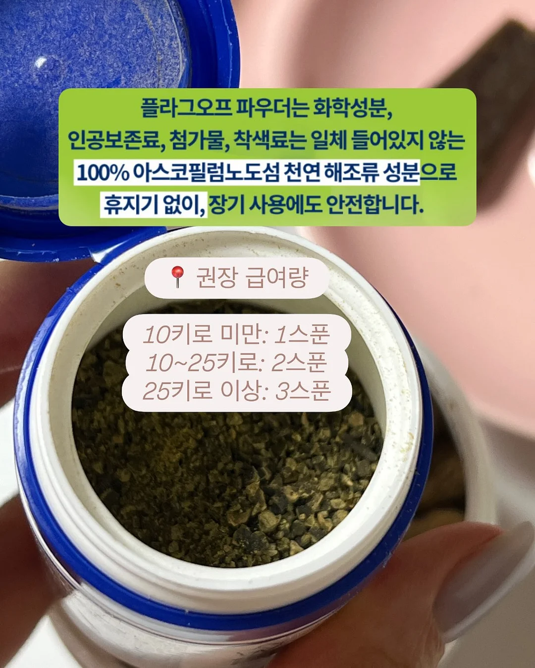 젬젬 4
