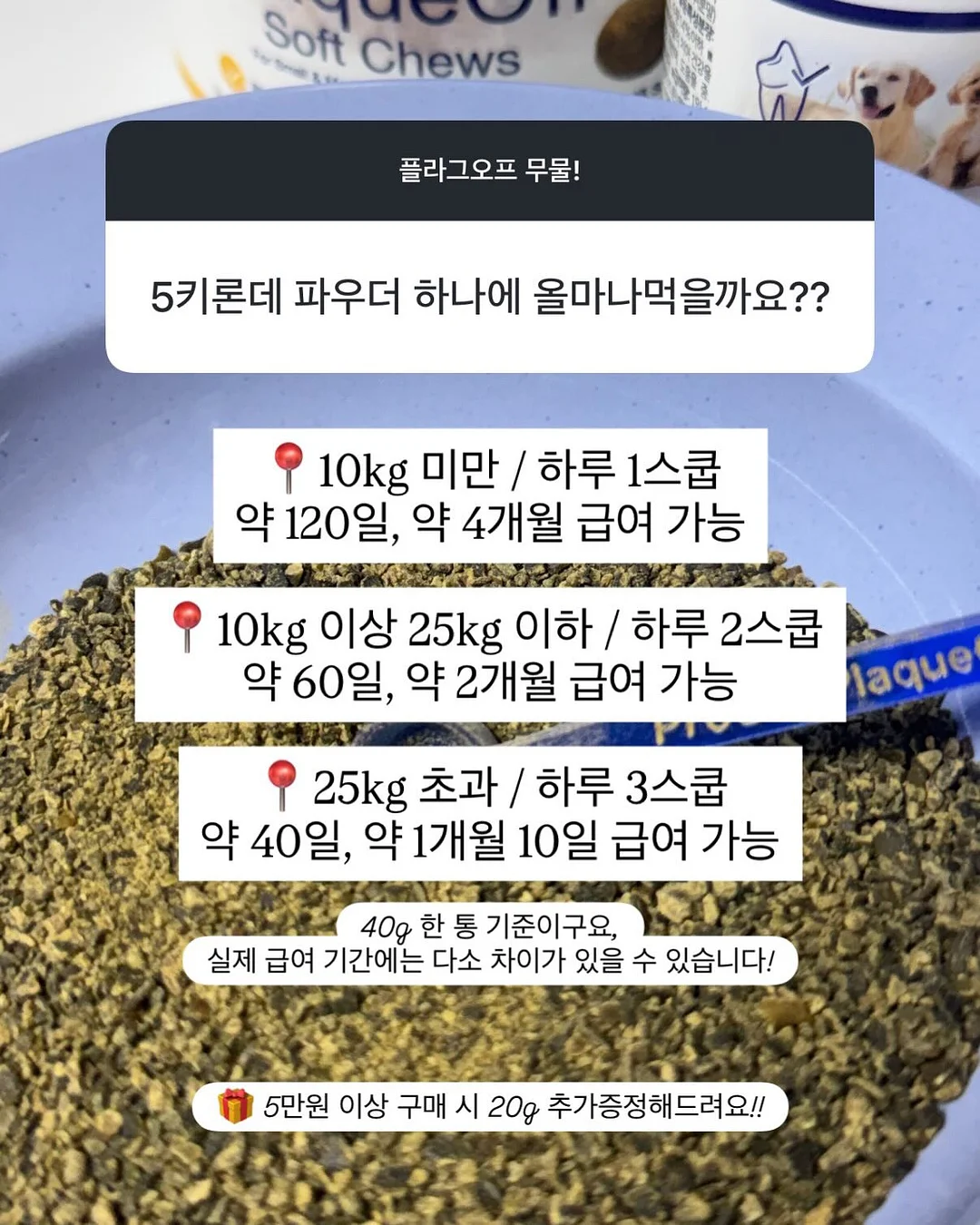 젬젬 6