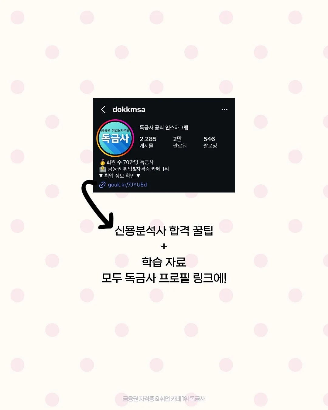 꿀스타 참외 8