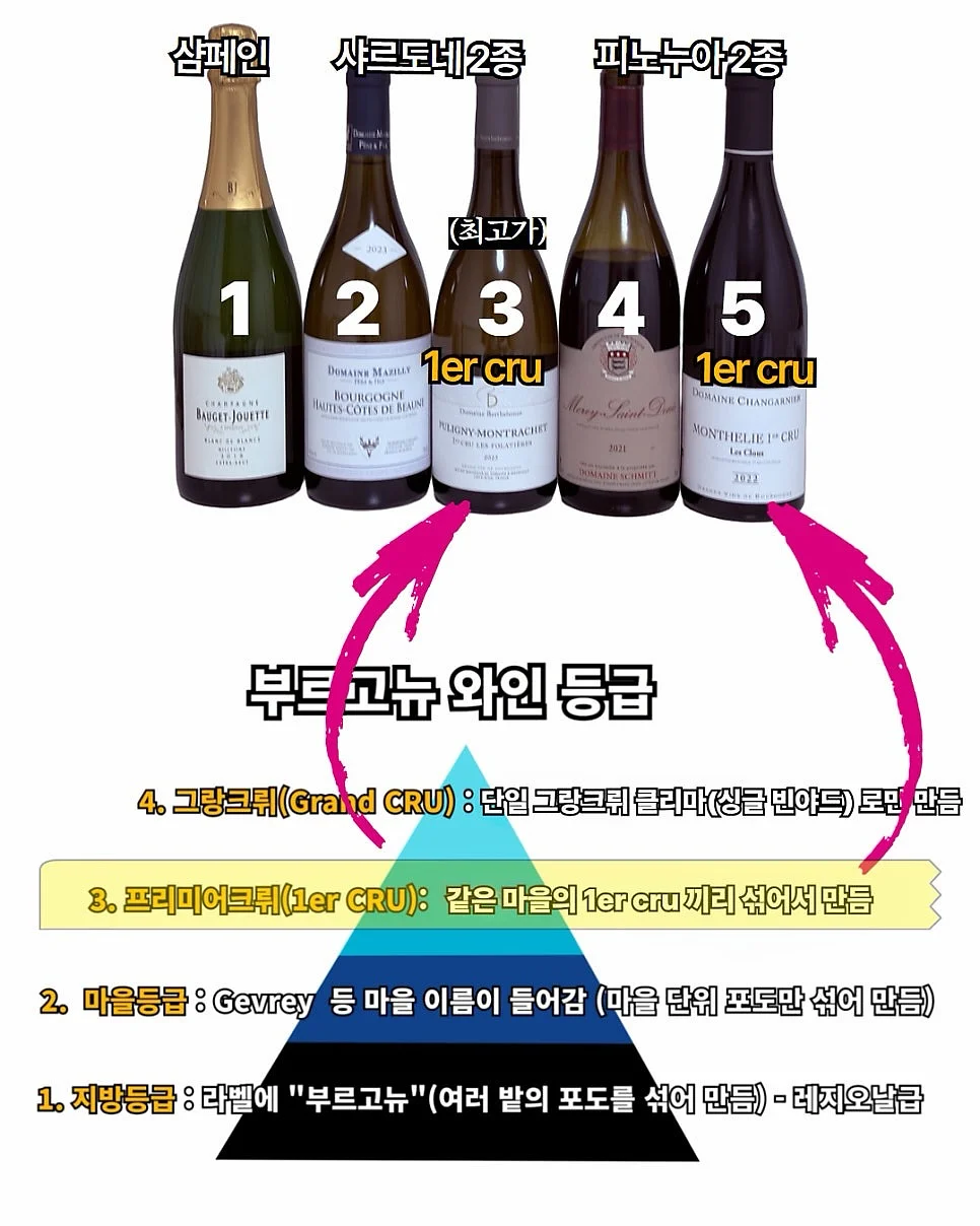 뉴로인솔 3