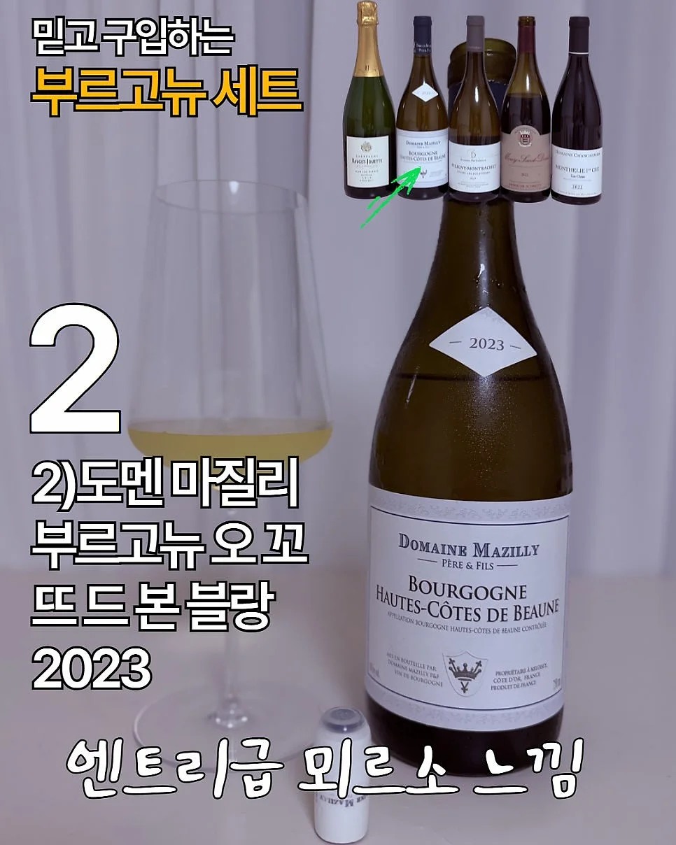 뉴로인솔 4
