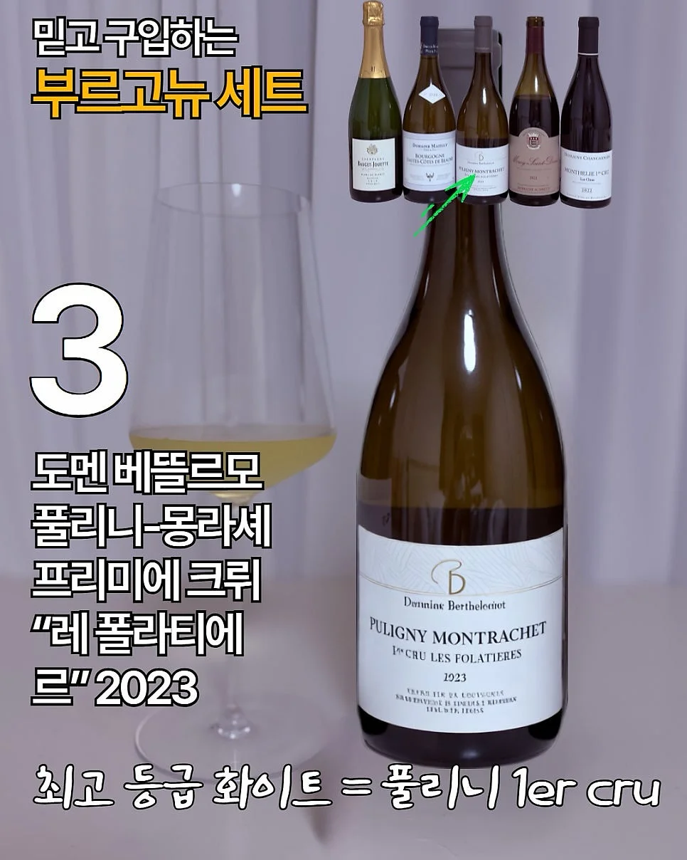 뉴로인솔 5
