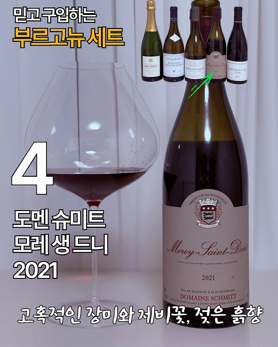 뉴로인솔 6