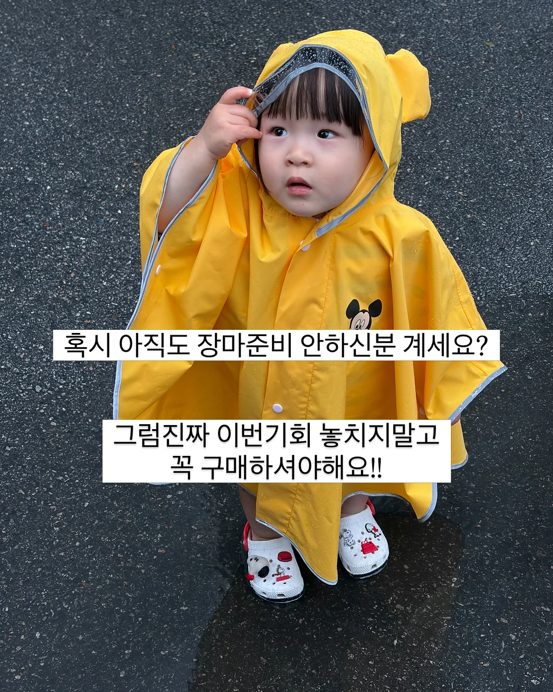 빈티지 카메라 대여 2