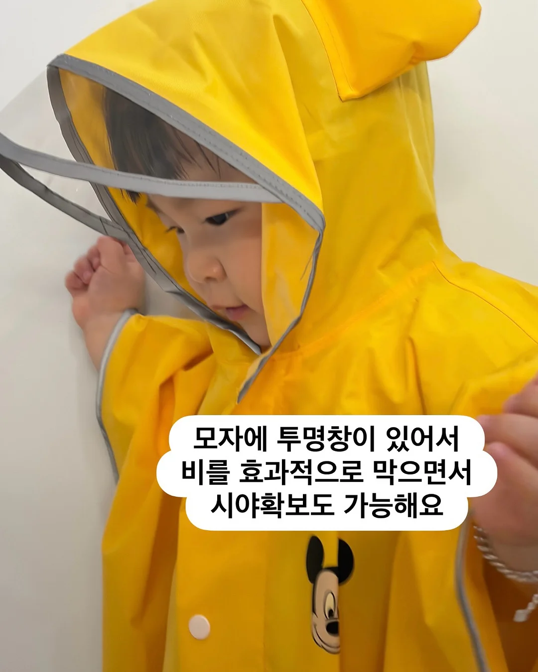 빈티지 카메라 대여 3