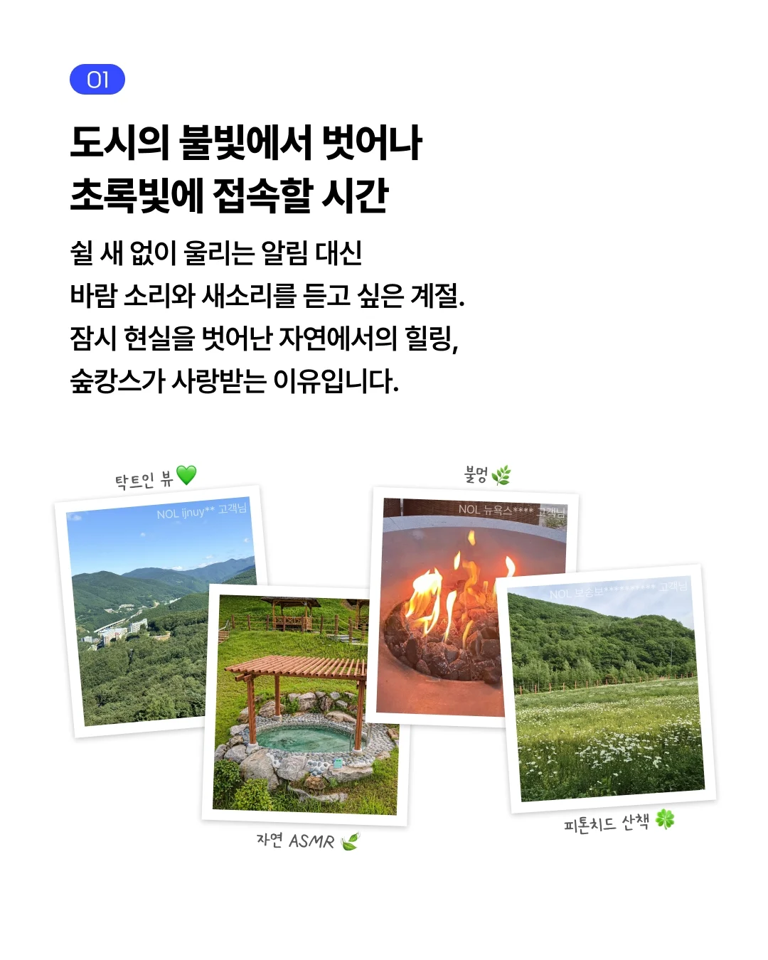 데일리 네온썸머 네온시럽 5종 + 실버 자석 2종 2