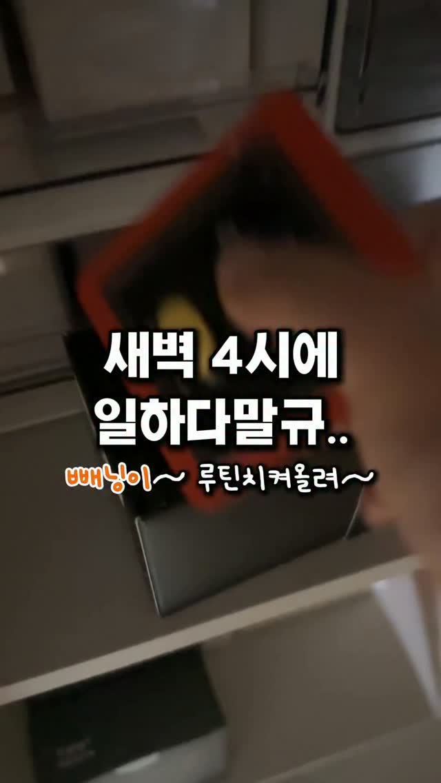 리락쿠마 벽 장식