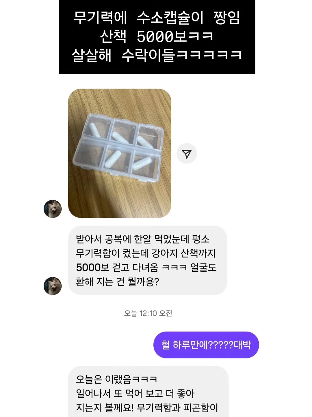 미니+2호 2단 케이크 8