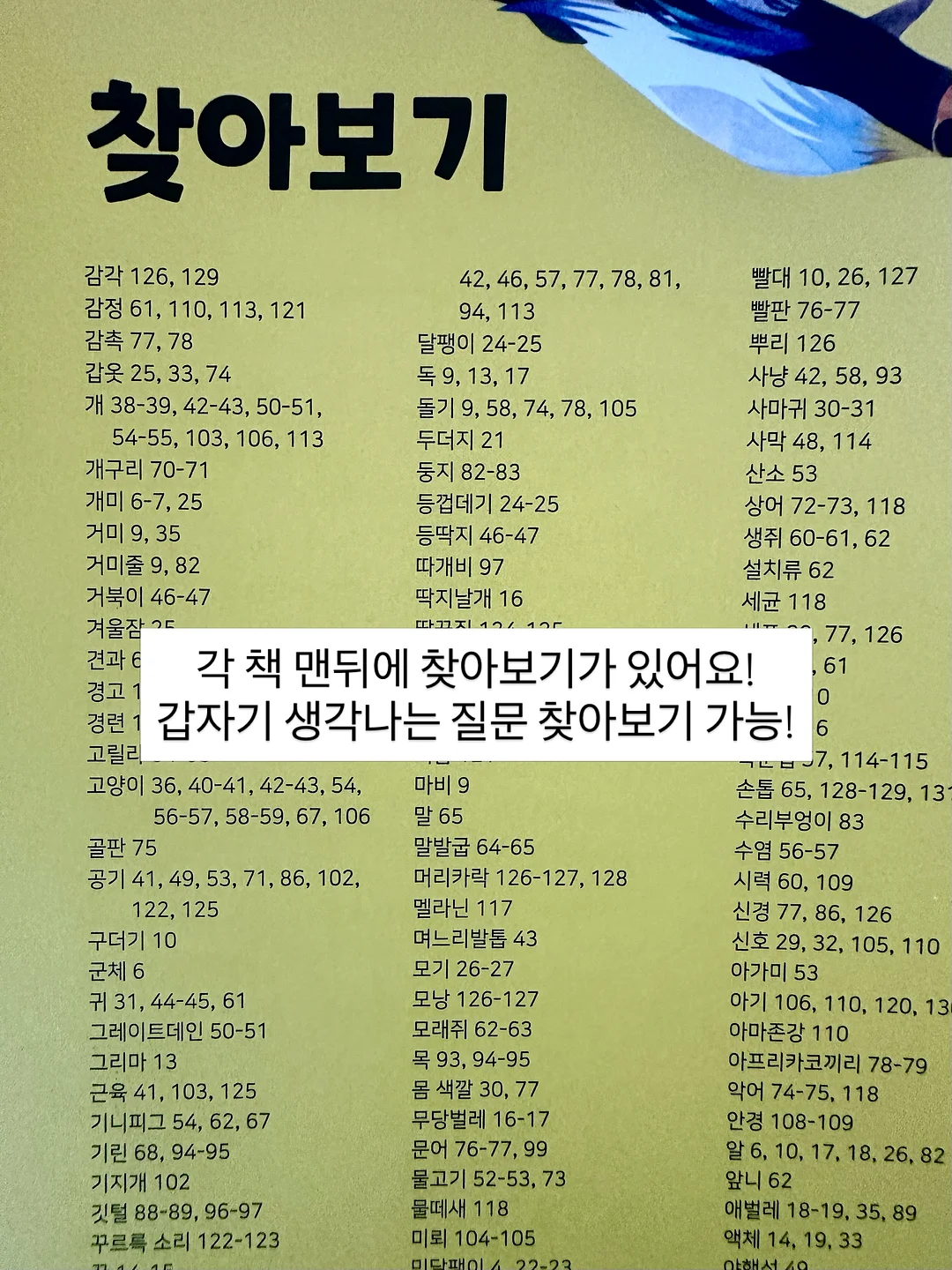 뮤르실버파우더 11