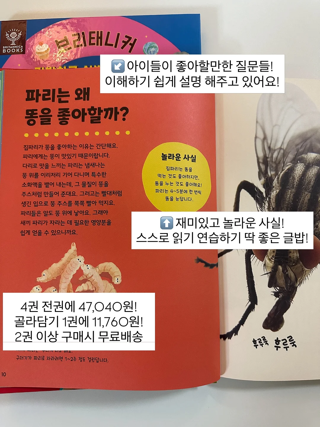 뮤르실버파우더 2