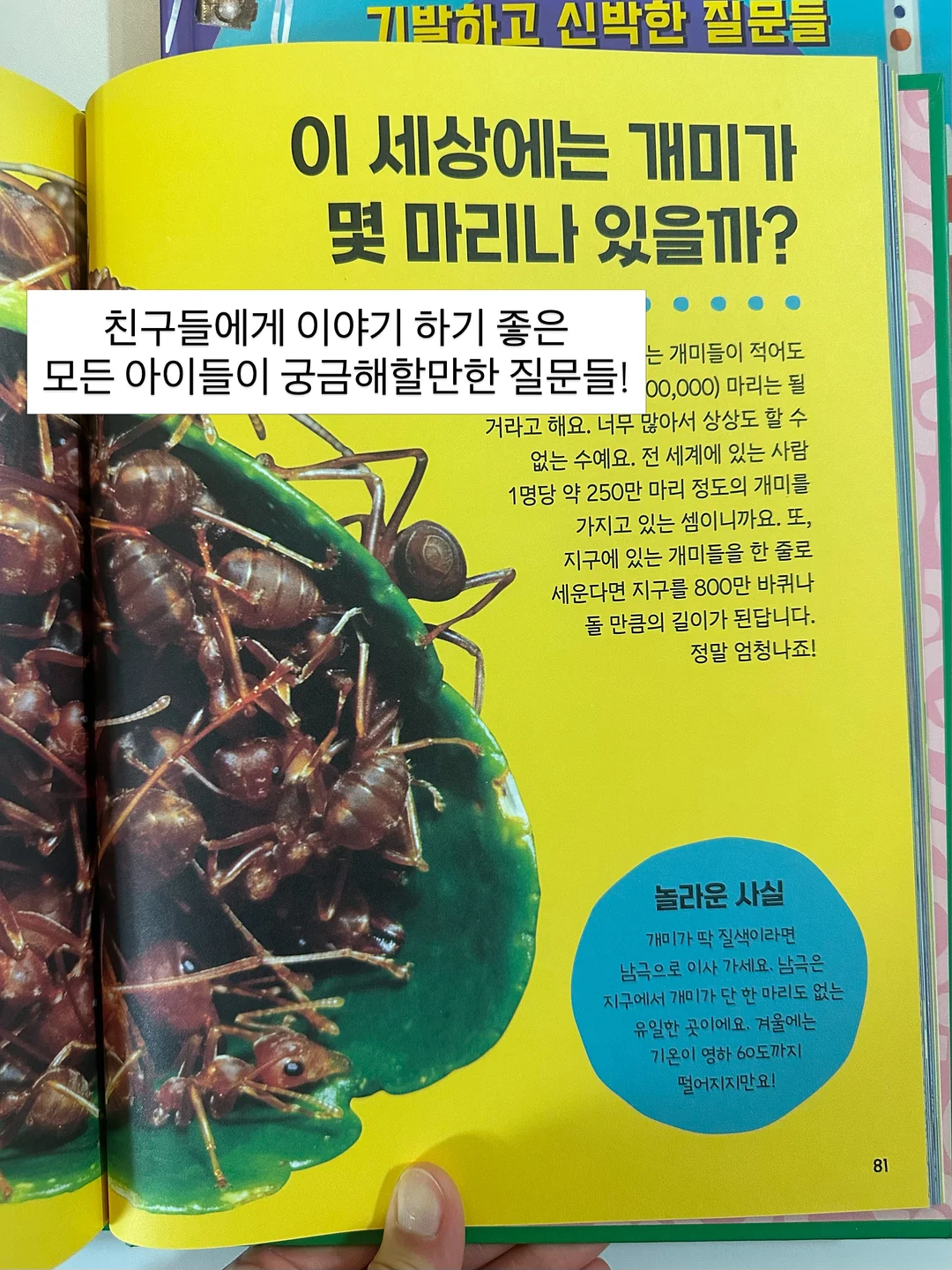 뮤르실버파우더 3