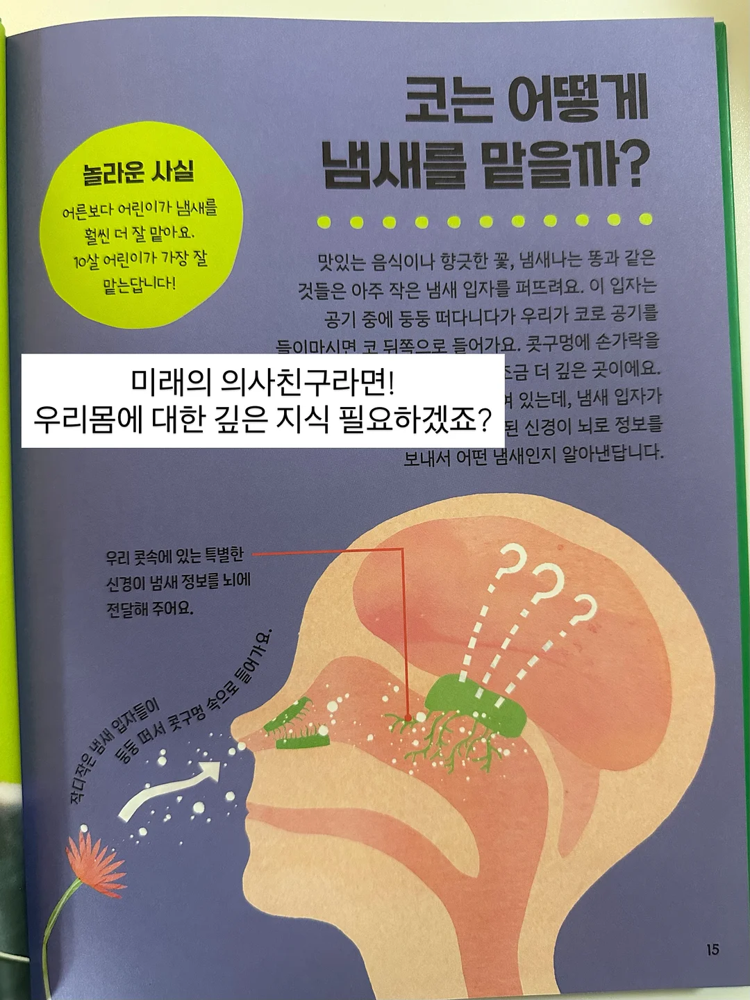 뮤르실버파우더 7