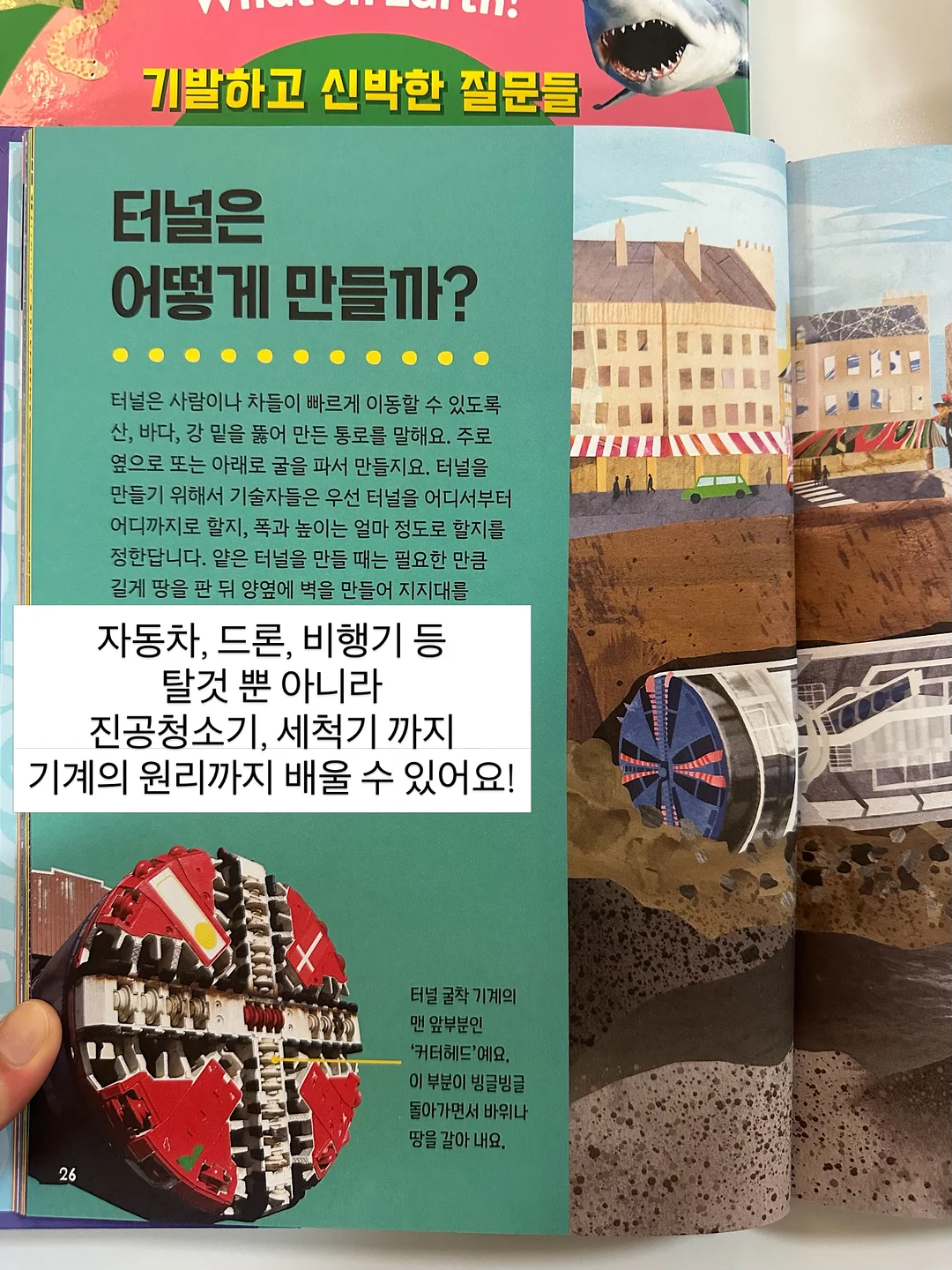 뮤르실버파우더 9