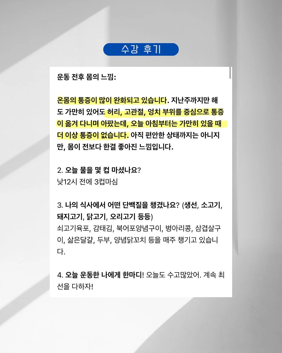 질리오 토트백 4