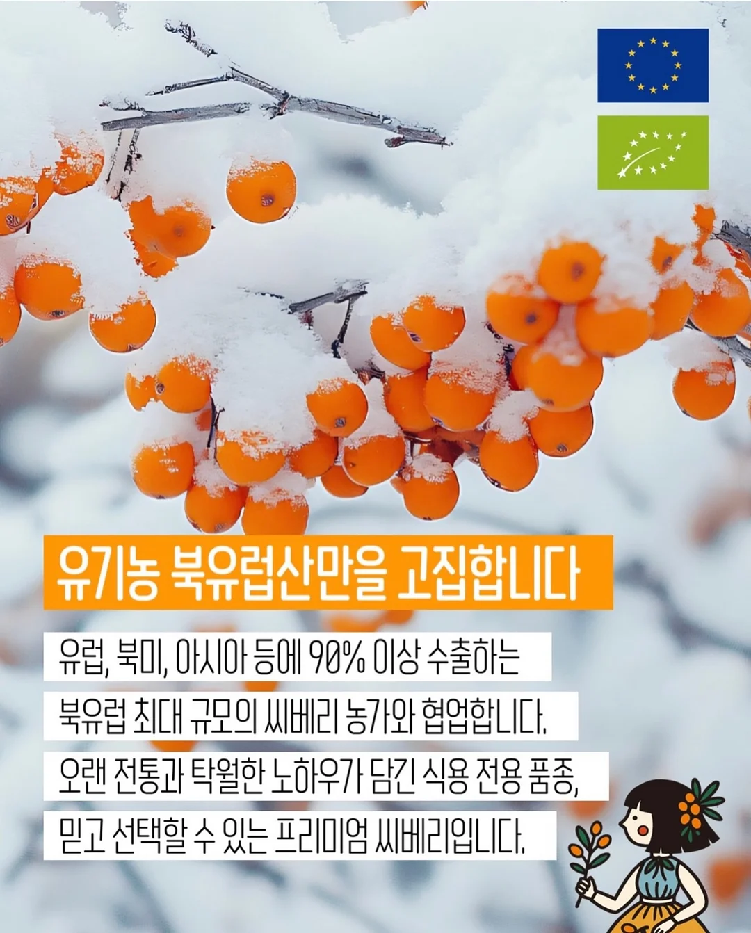 미스트 선풍기 12