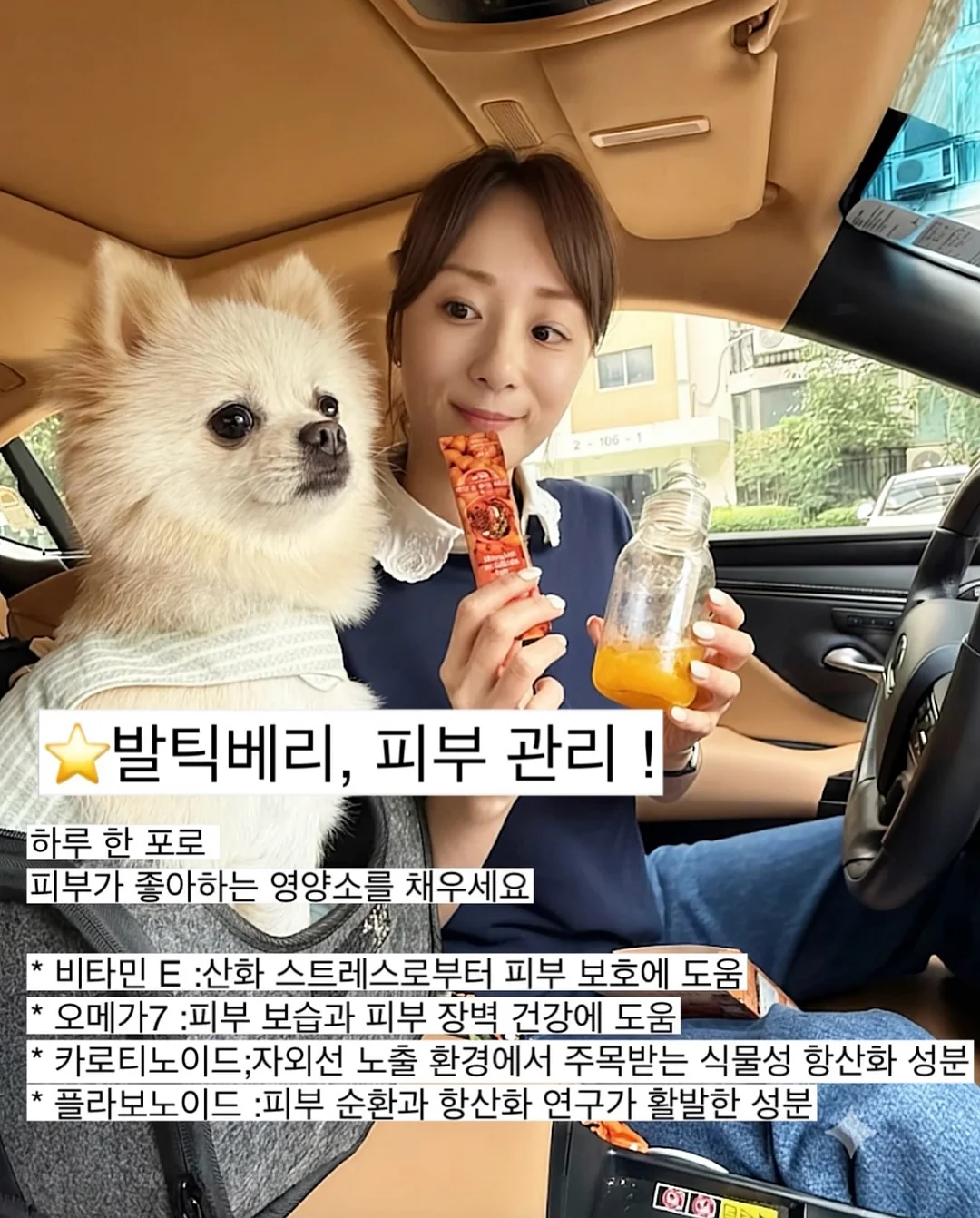 미스트 선풍기 14