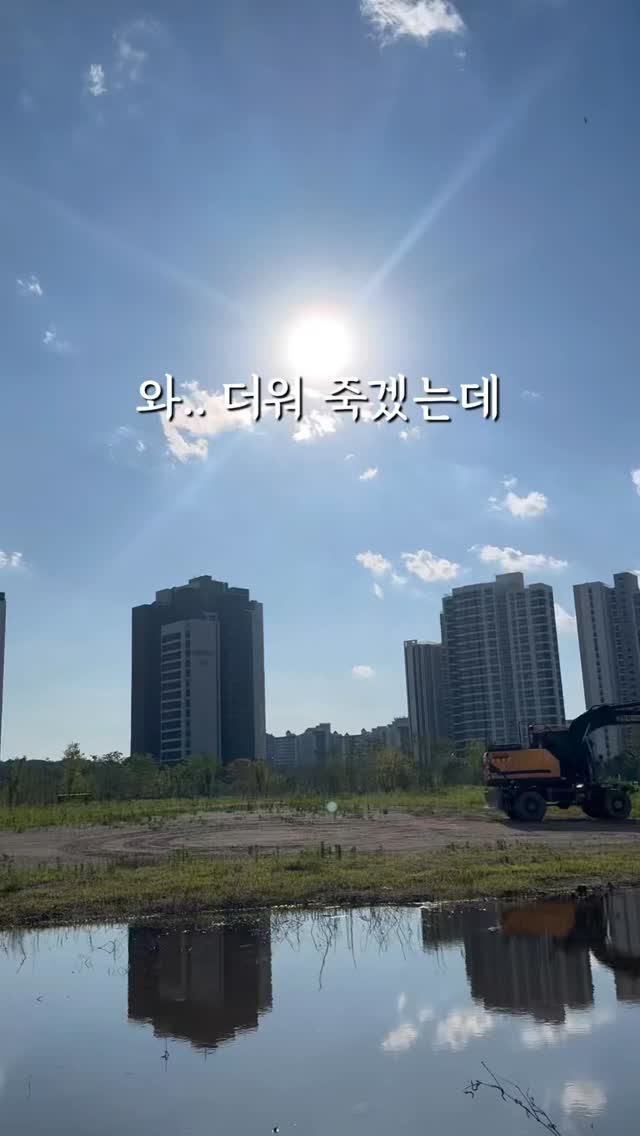 무지개망고