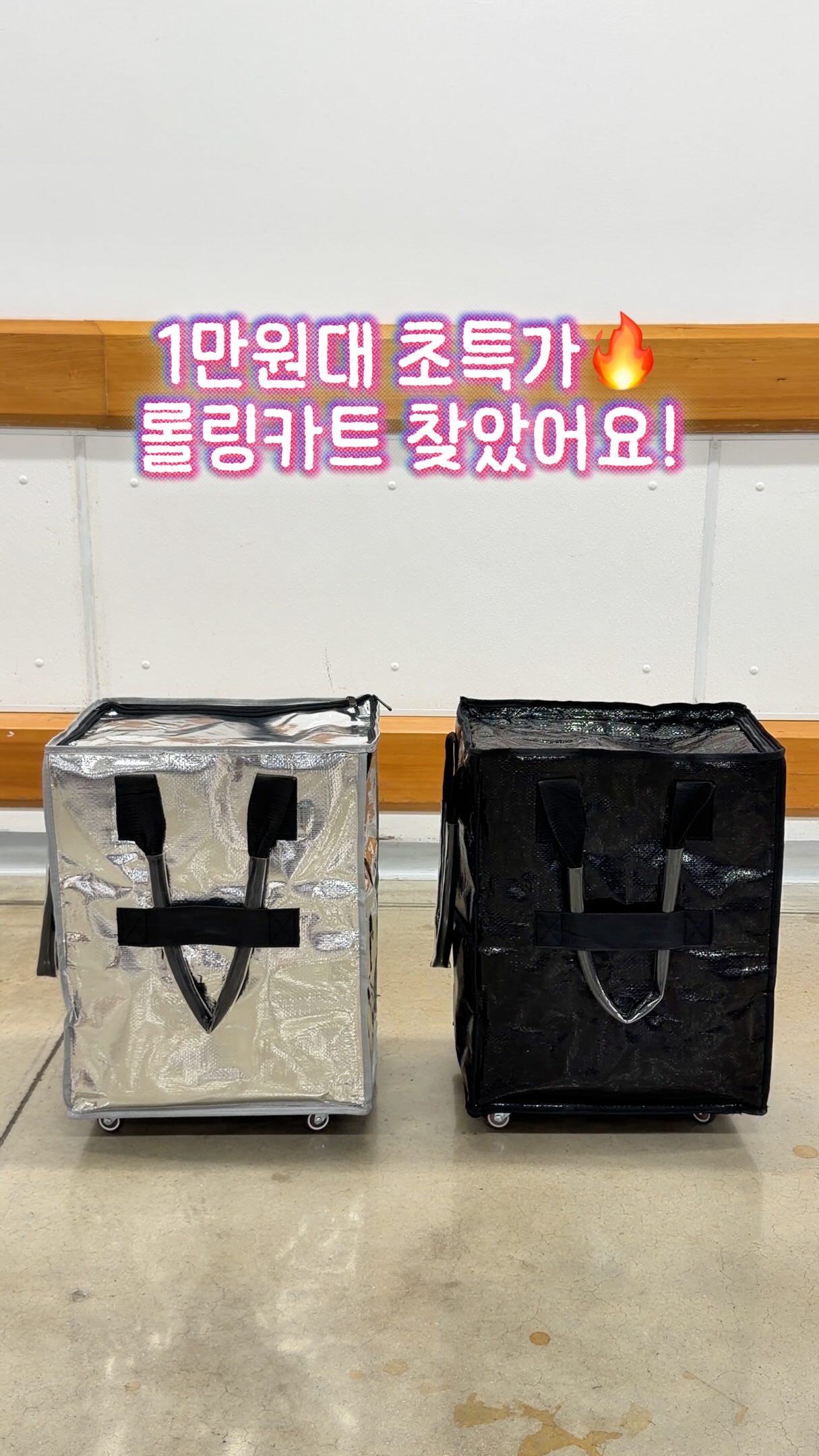 사파리 그림책